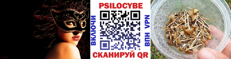 kraken   Барабинск  Галлюциногенные грибы Psilocybine cubensis 