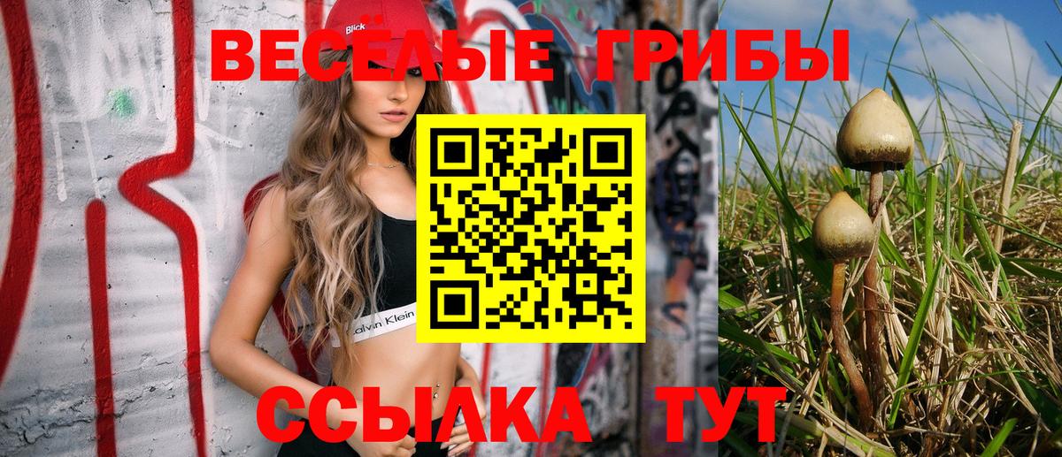 Барабинск  Псилоцибиновые грибы Psilocybe  Вход с VPN 