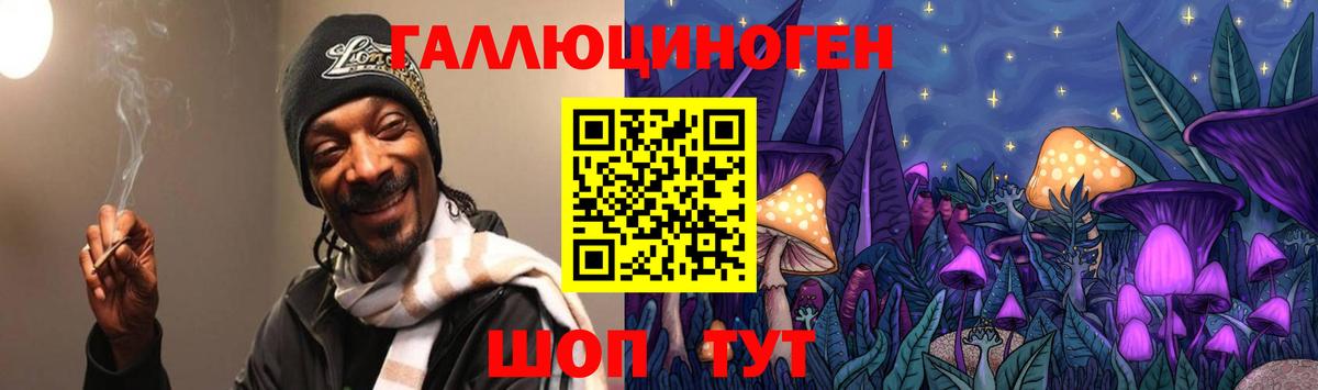 Галлюциногенные грибы Cubensis Барабинск